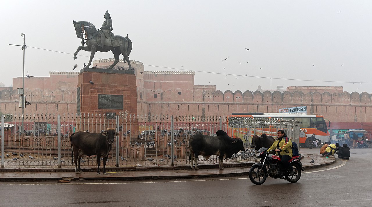 Bikaner to Shekhawati: The Offbeat Route, Best Road Trips to Take in Rajasthan