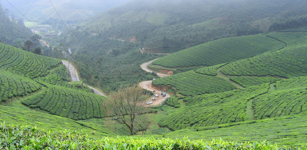 Munnar - Tourist Attractions in Kerala