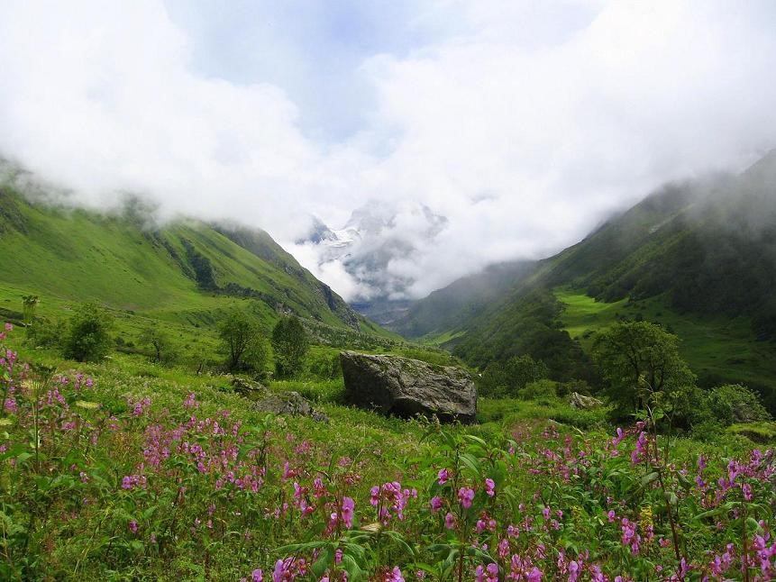 Nanda Devi and Valley of Flowers National Parks, Uttarakhand - List of UNESCO World Heritage Sites in India Nanda Devi and Valley of Flowers National Parks, Uttarakhand, India