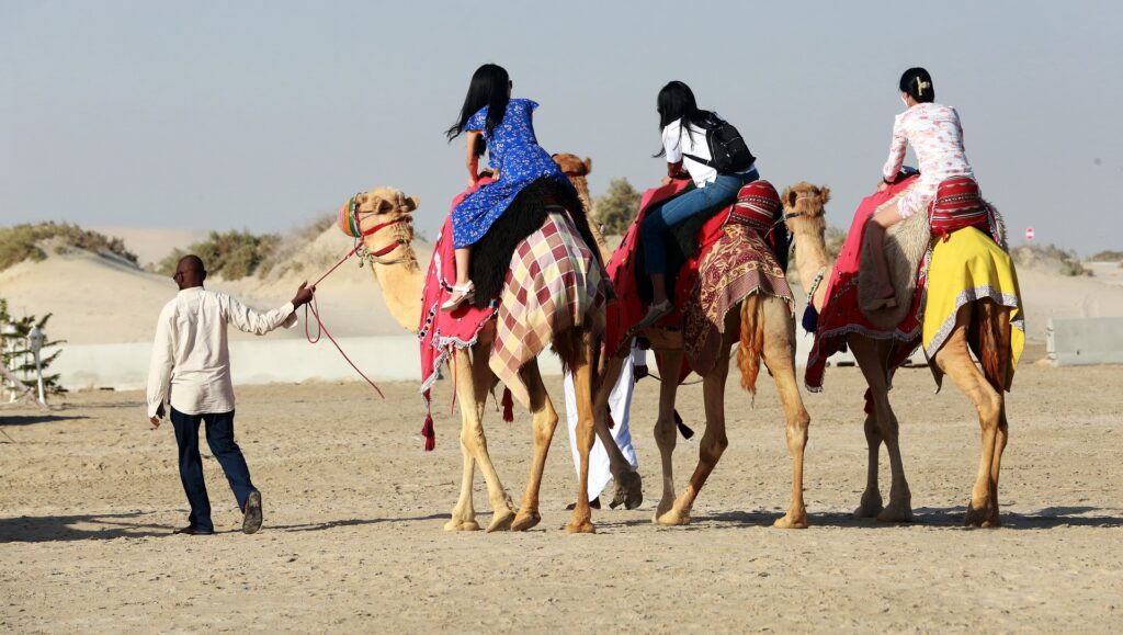 Rajasthan - Kid-Friendly Travel Destinations in India