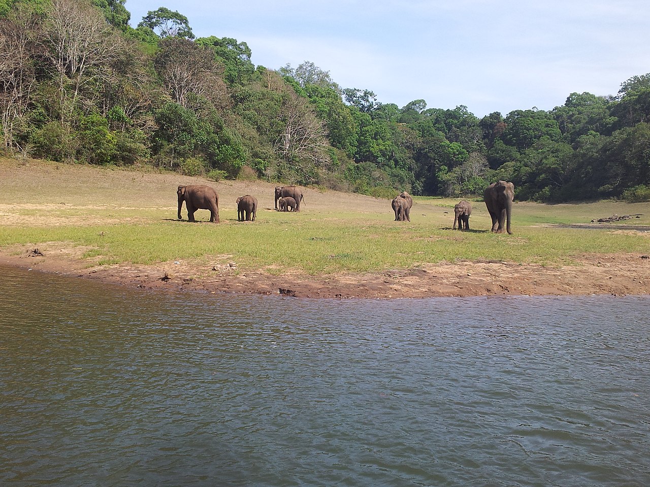 Thekkady - Tourist Attractions in Kerala