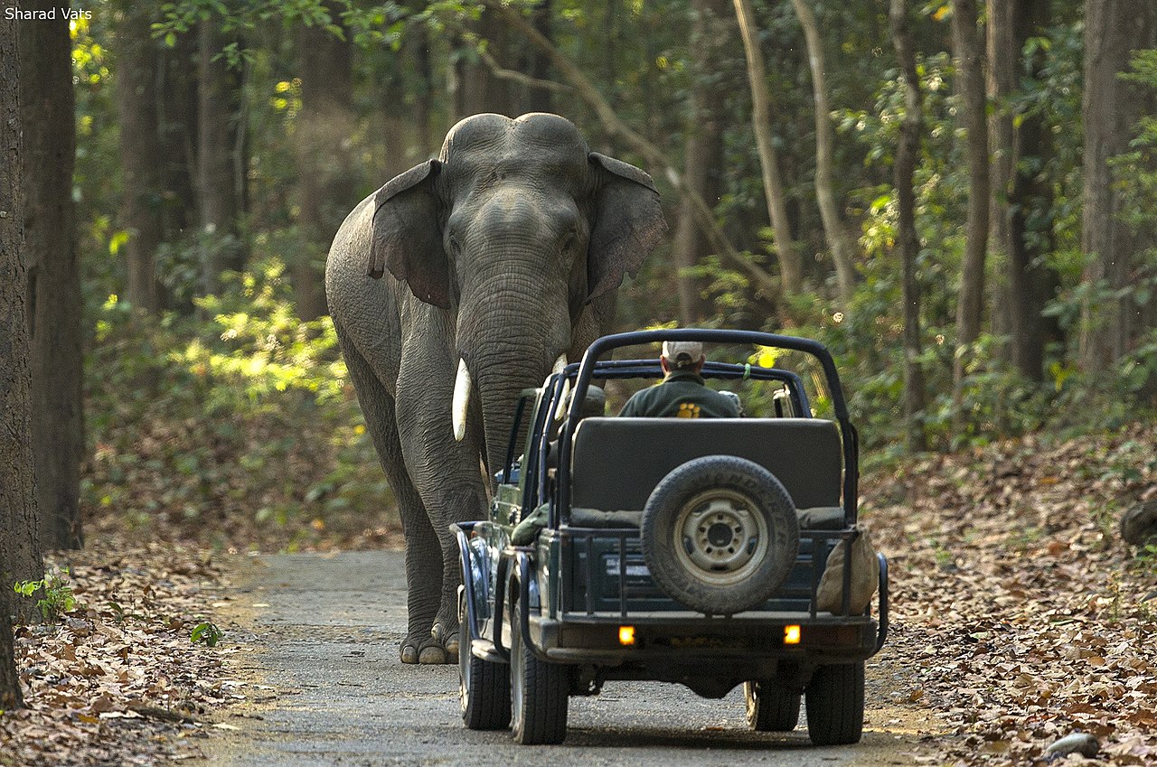 Paramotoring in Corbett National Park