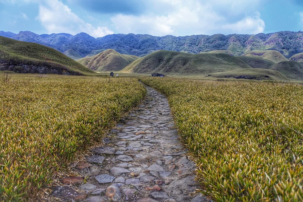 India's Beautiful Flower Valleys - Dzukou Valley