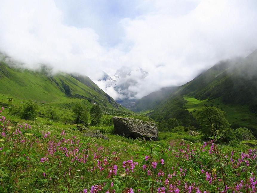 Valley of Flowers - India's Beautiful Flower Valleys