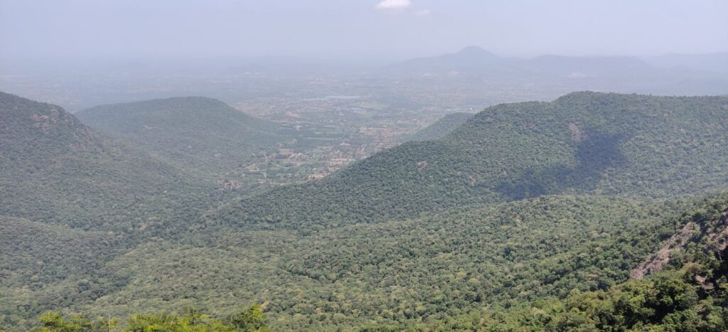 Yercaud – A Beautiful Hill Station in Tamil Nadu