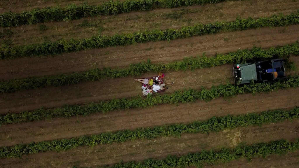 Fratelli Vineyards, Akluj