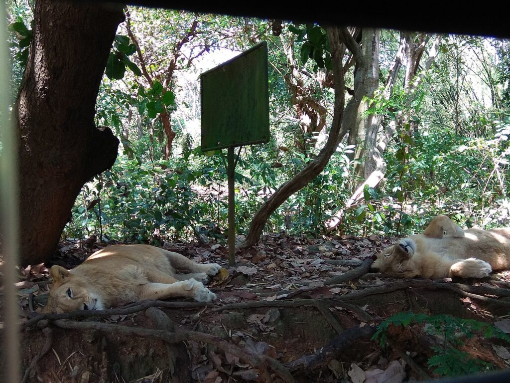 Neyyar Wildlife Sanctuary