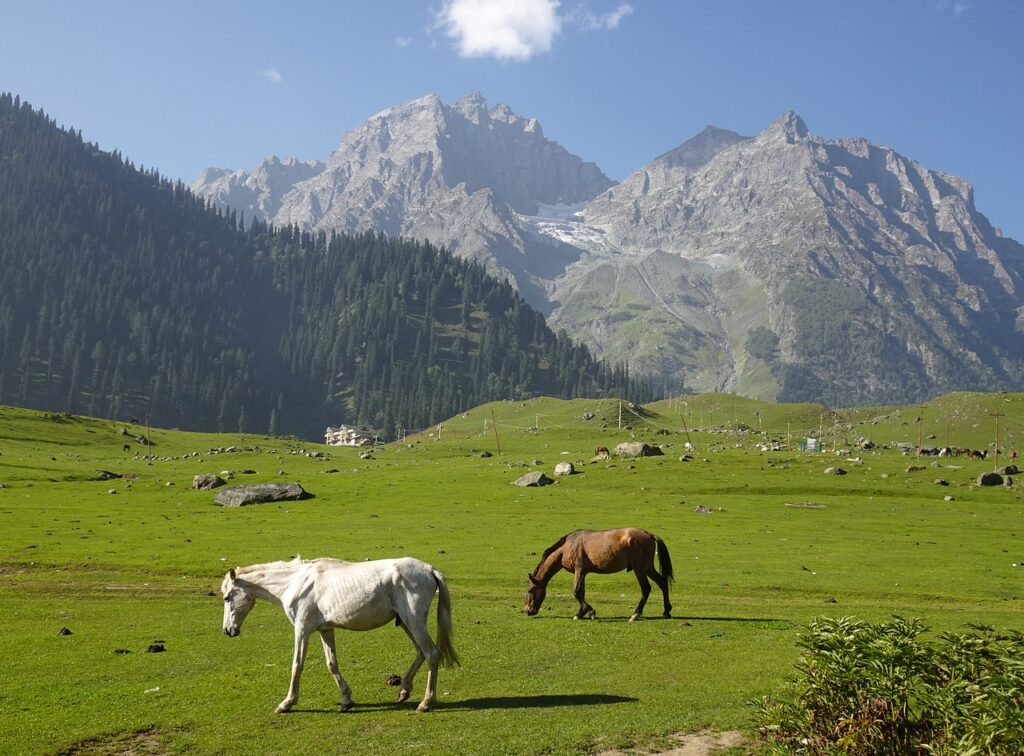 Sonamarg - Honeymoon Destinations in Jammu & Kashmir