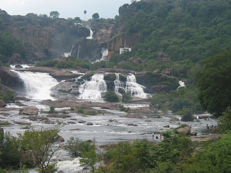 Agasthiyar Falls - Weekend Getaways Near Tirunelveli