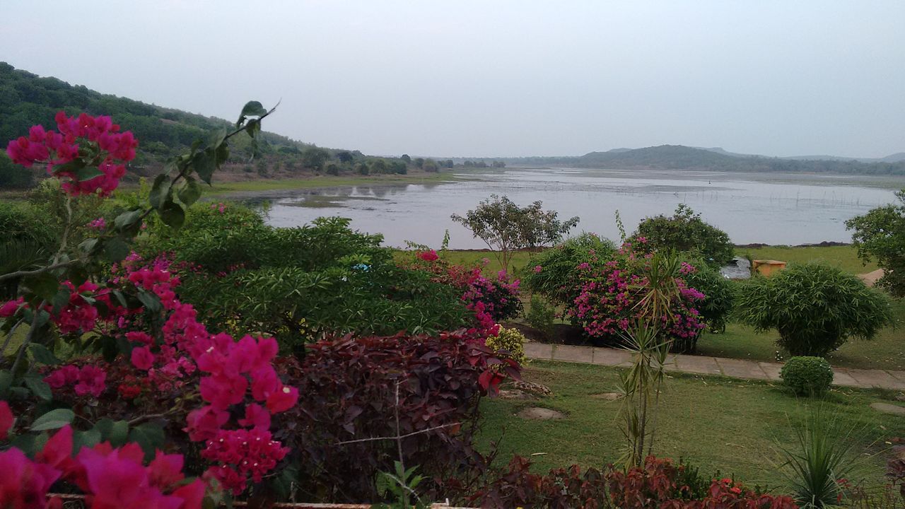 Orissa's Major Religious Sites: Ansupa Lake, Cuttack