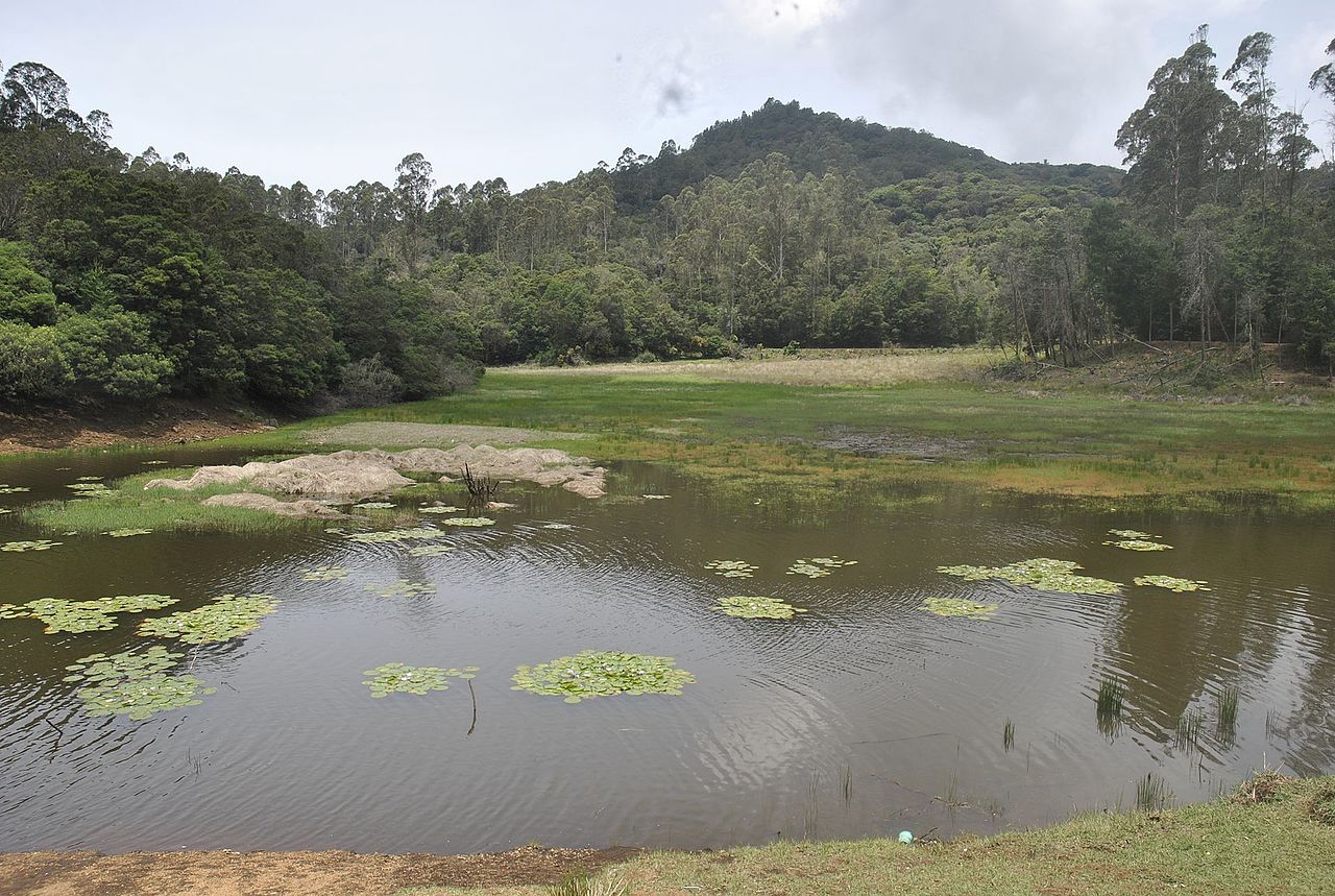 Berijam Lake - Weekend Getaways Near Kodaikanal