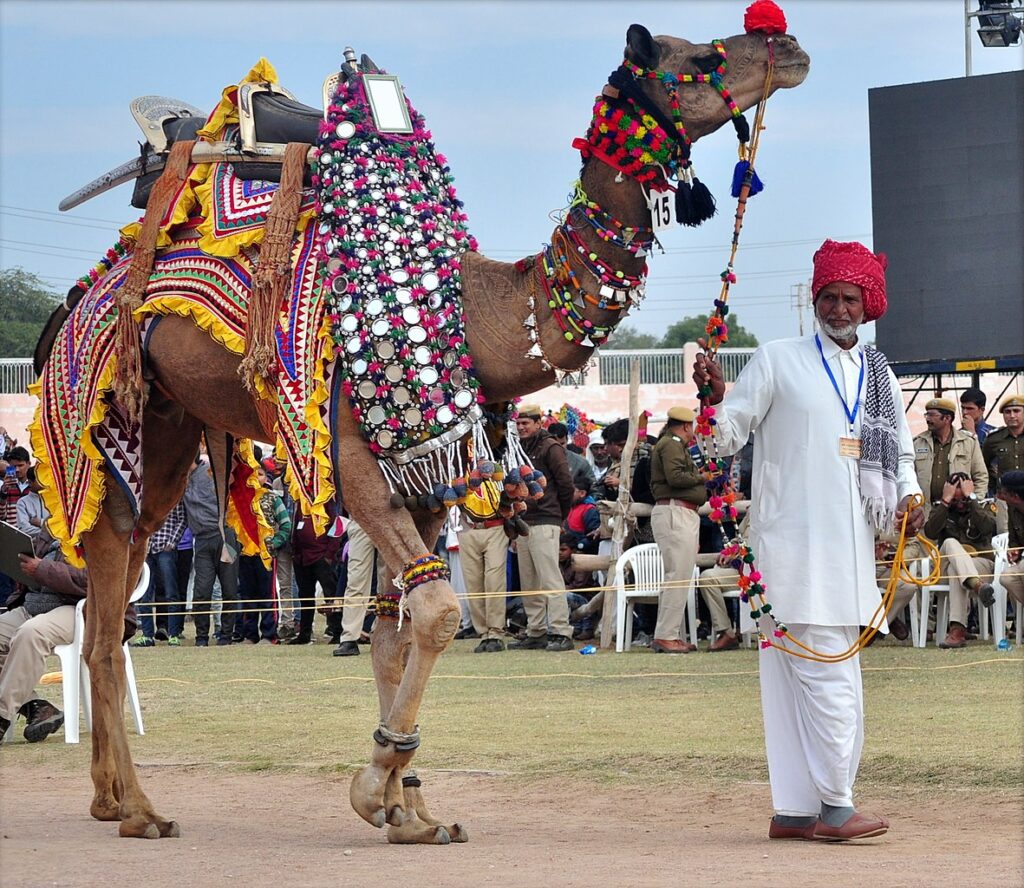 Bikaner Camel Festival