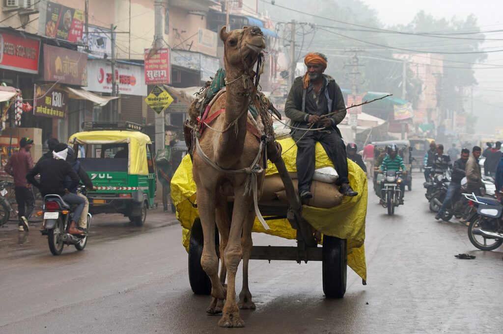 Bikaner Old City