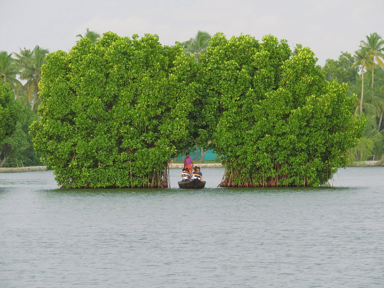 Munroe Island - Weekend Getaways Near Kollam