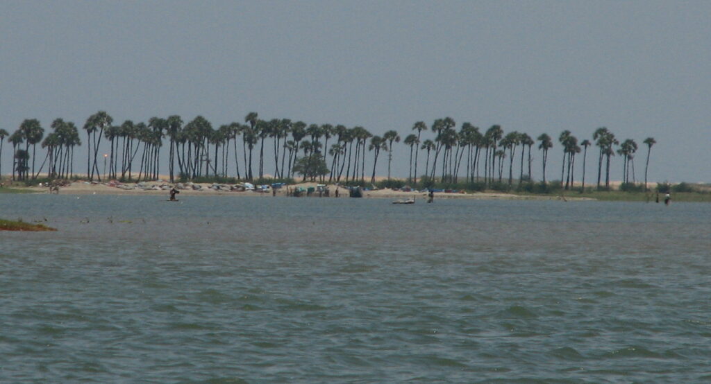 Pulicat Lake - Weekend Getaways Near Chennai