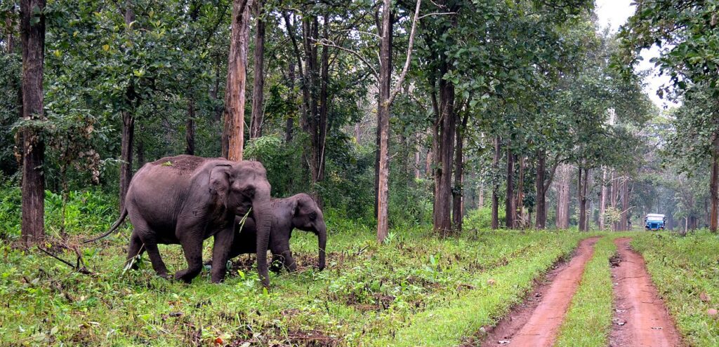 Tholpetty Wildlife Sanctuary