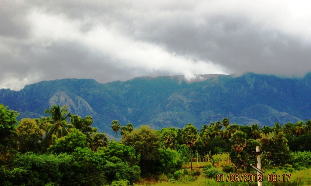 Kalakkadu