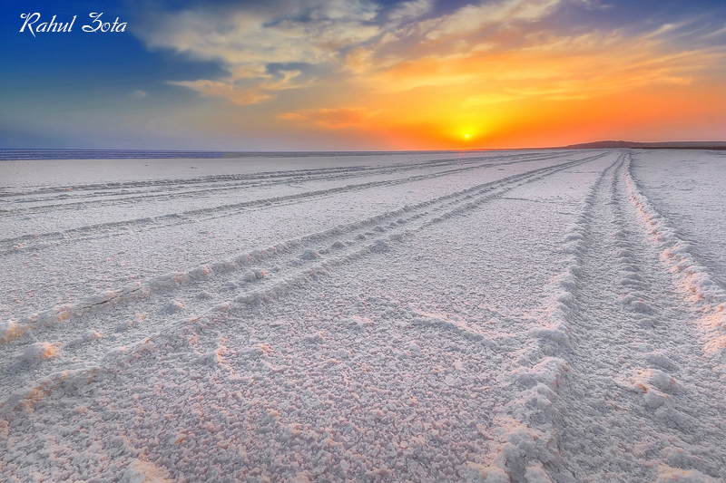 Discover the Best of Kutch Rann Utsav