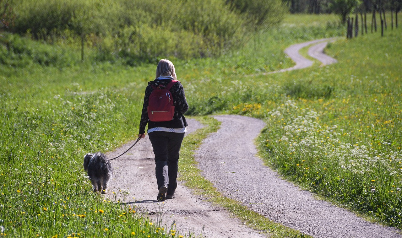 Choose the Right Trek: Best Treks for Female Solo Travelers