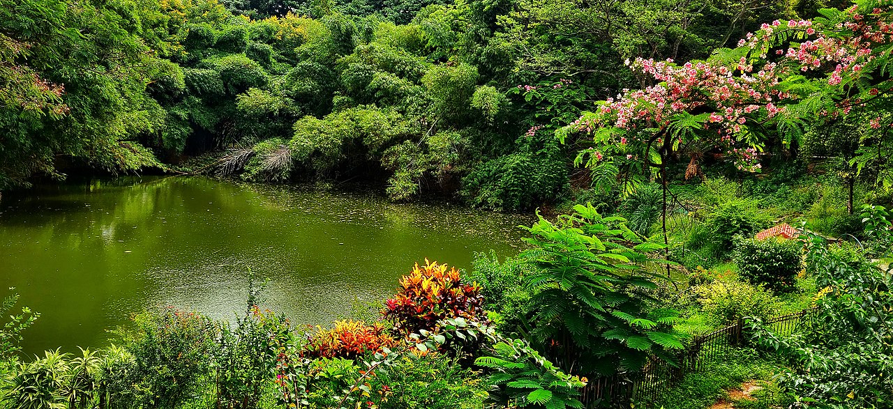 Lalbagh Botanical Garden: Discover the Beauty of Bengaluru