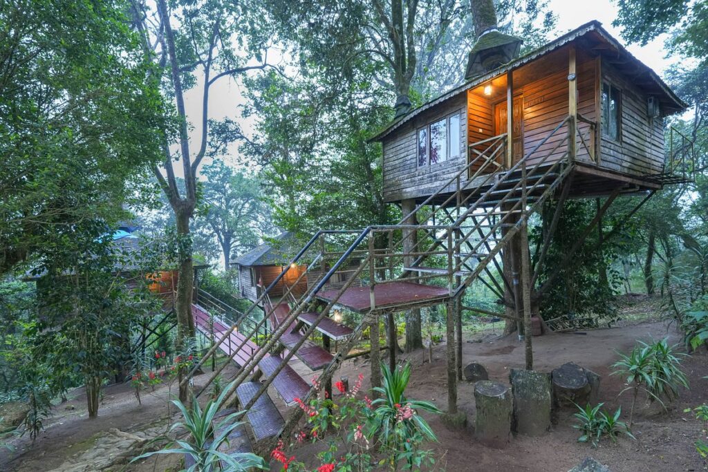 Tree House Resorts in India