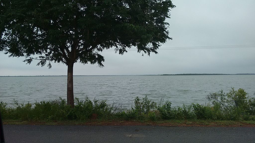 Pulicat Lake, Andhra Pradesh