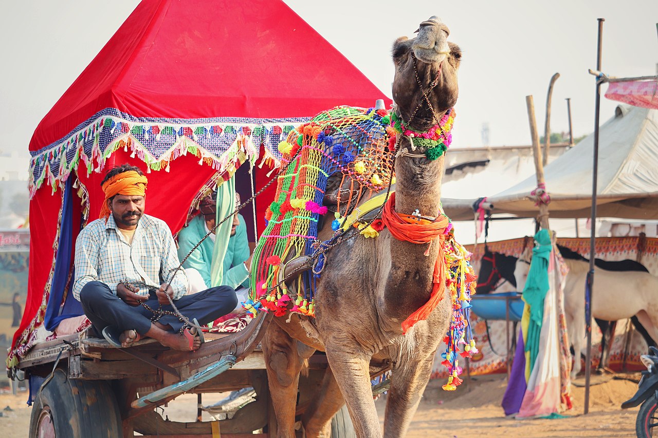 Rajasthan - Where Love Blooms and Romance Flourishes