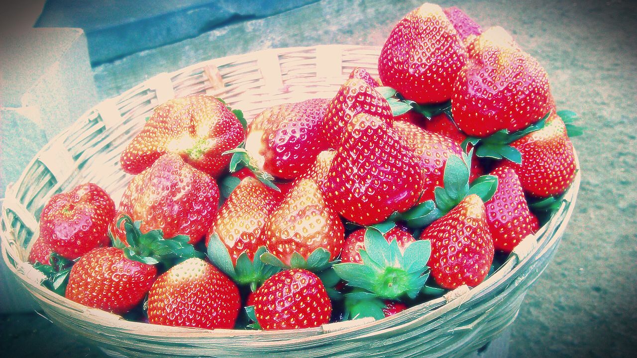 Strawberry Farms in Mahabaleshwar